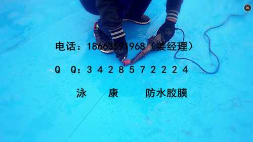 QQͼ20160623140731.jpg