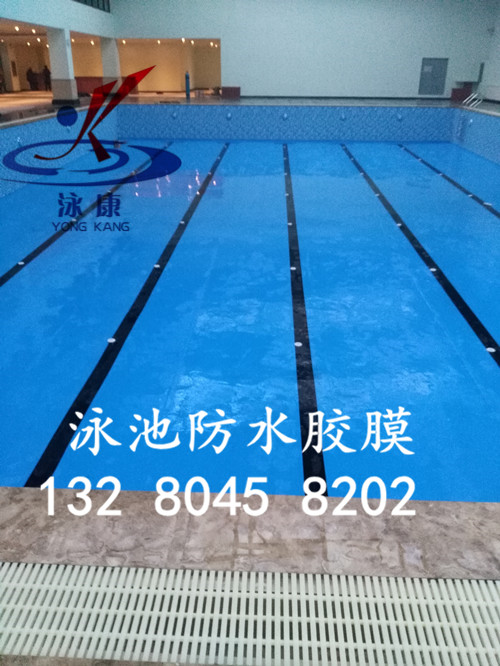 IMG_20160314_174615_.jpg