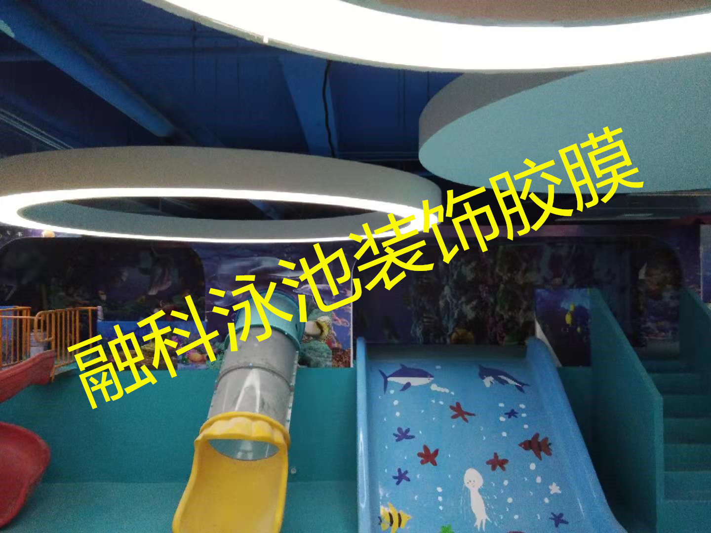 81.jpg