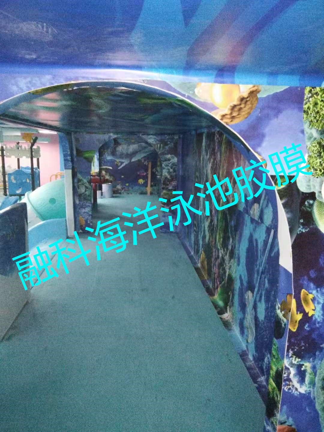 113.jpg